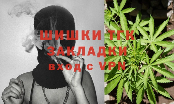 ГАЛЛЮЦИНОГЕННЫЕ ГРИБЫ Рославль
